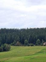 Blackjulie Ferienwohnung im Schwarzwald mit Balkon und Parkplatz ruhig - B&B Sankt Georgen im Schwarzwald