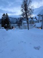 Central Apartment in Down Town Aurora villa - B&B Tromsø