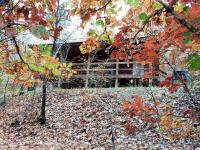 Eastern Red Cabin - Giant Spa Tub, Peaceful Location - B&B Eureka Springs