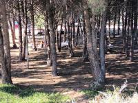 Casa en Sauce Grande - Calvario - B&B