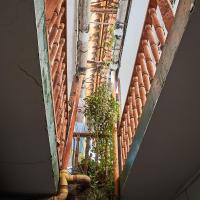 Hostal la muralla getsemani - Ferienwohnung Cartagena