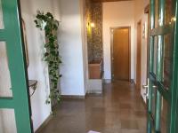 One-Bedroom Apartment with Terrace and Sea View (2 Adults)