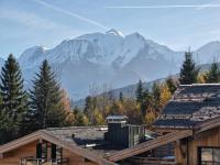 Alpage Mont Blanc - Ferienwohnung Combloux
