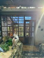 Cabaña ecológica de la granjita - B&B