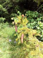 Penzion REHEK - Ferienwohnung Malá Morávka