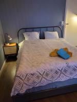 King Room with Roll-In Shower - Disability Access