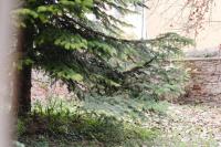 Charming Apartment in the Heart of Santo Spirito - Chambres d'hôtes Florence