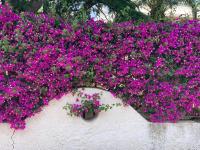 Villa Anna - B&B