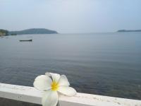 GS Home on the Bay - Super Sea view glass studio apartment - Chambres d’hôtes Vagator