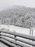 Vila Aurora Kopaonik, 50m od Gondole - Ferienwohnung