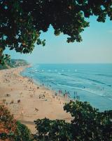 New coco inn varkala cliff - Bed and Breakfast Varkala