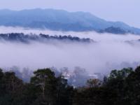 Green view - B&B