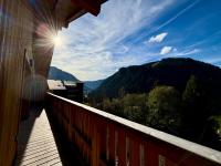 Grand T3 et Coin montagne central et lumineux - Multipass inclu - B&B