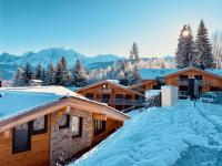 Le lodge de l alpage - Ski in ski out - 2 chambres 1 cabine - Ferienwohnung Combloux