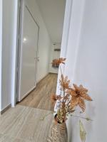 Podgorica Near Big Fashion - Chambres d’hôtes Podgorica