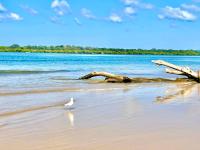 Two Apartments SALT & SAND at Lazy Days on Shaws Bay - 150m to Shaws Bay - B&B East Ballina