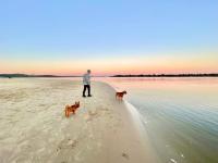 'SEAVIEW' - Stunning Coastal Views, Opposite Shaws Bay, Pet Friendly, Sleeps 4 - Ferienwohnung East Ballina