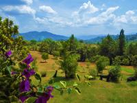 Finca El Cielo