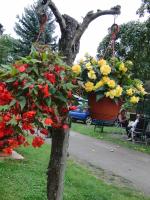 Ferienwohnung auf dem Gemüsehof an der Spree - Ferienwohnung Burg (Spreewald)