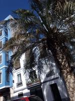 Casa con Palmera - Port - Ferienwohnung Valencia