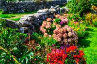 Garden Apartment at Dalys House - B&B Doolin