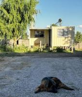 Appartamento con Vista Montagna