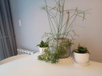 Depto céntrico excelente ubicación, con cochera, pileta y patio - Ferienwohnung Villa Carlos Paz