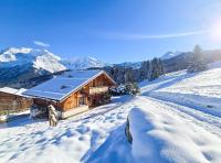 Chalet Vallée de Chamonix, Ski, Snow, Spa vue MontBlanc by ImmoConciergerie - B&B Saint-Gervais-les-Bains