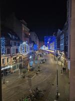 Superbe appartement 140 m2 plein centre-ville de Strasbourg - Chambres d’hôtes Strasbourg