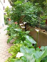 La Botticella casa appartamento per vacanze - Bed and Breakfast Rome