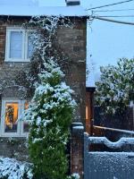 Boho Chic Cottage & Wild Garden nr Soho Farmhouse - Chambres d’hôtes Steeple Aston