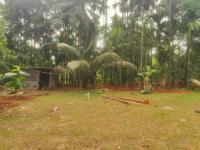 Gowri farm stay - B&B Kotatattu