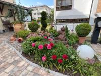 Schlössleblick - B&B