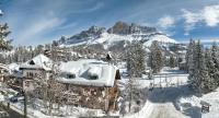Residence Chris Appart - B&B Carezza