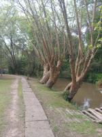 Cabaña SOPHIA - B&B Tigre