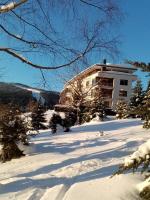 Apartmán 3K Michael - B&B Špindlerův Mlýn