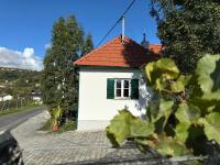 Kellerstöckl - Zur Weinrebe 2 - B&B Eisenberg an der Pinka