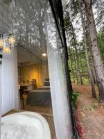 Container Dos Sonhos - Chambres d’hôtes Doutor Pedrinho