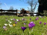 Am Grünenplatz 63 - B&B Wermelskirchen