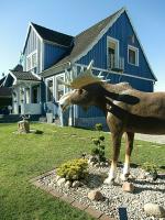 FeWo Schwedenhaus - B&B Eschede