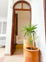 Habitación Doble Deluxe - 2 camas