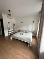Appartement rénové hypercentre-Charleville-10p - Chambres d’hôtes