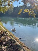 Appartamento zona fiera Treviso - Bed and Breakfast