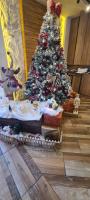 Harmony Zlatibor wellness&spa sa garažnim mestom - B&B Zlatibor