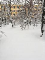 Apartmán u lesoparku - Praha Kobylisy - B&B