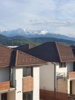 Transylvania Petals - B&B Ghimbav