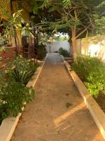 Tropikal House Facing Ocean - Bed and Breakfast