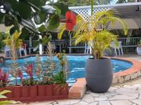 Gîte BAIE DES CARAIBES - Guadeloupe Centre - Bed and Breakfast Baie-Mahault