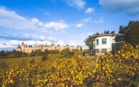 L'écrin de la Cité, Coeur de Vignes - Vivez une expérience inoubliable ! - B&B