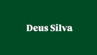 Deus silva - Chambres d’hôtes